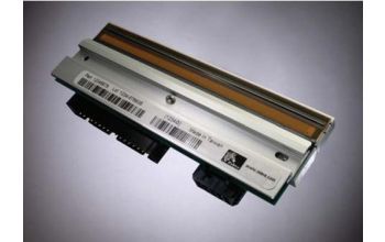 Zebra Kit Printhead 300 dpi ZM600 Druckkopf