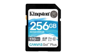 Kingston Technology 256GB SDXC Canvas Go Plus 170R C10 UHS-I U3 V30