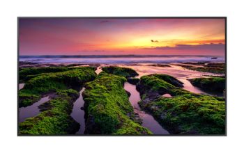 Samsung QB75B Digital Signage Flachbildschirm 190,5 cm (75") VA WLAN 350 cd/m² 4K Ultra HD Schwarz Tizen 6.5 16/7
