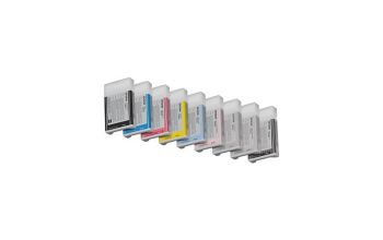 Epson Singlepack Photo Black T602100