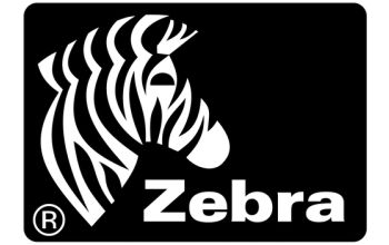 Zebra 105934-037 Druckkopf Direkt Wärme
