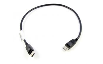 Lenovo 0.5m DisplayPort 0,5 m Schwarz