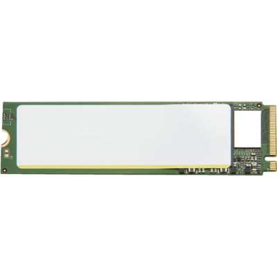 HP 256GB M.2 2280 PCIe TLC SSD Module