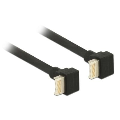 DeLOCK 85328 USB Kabel 0,45 m USB 3.2 Gen 2 (3.1 Gen 2) USB B Schwarz