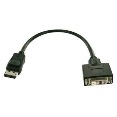 Fujitsu S26361-F2391-L200 Videokabel-Adapter DisplayPort DVI-D