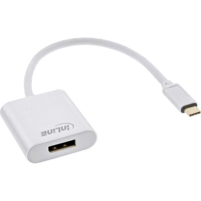InLine USB Display Konverter, USB-C Stecker zu DisplayPort 4K/60Hz silber