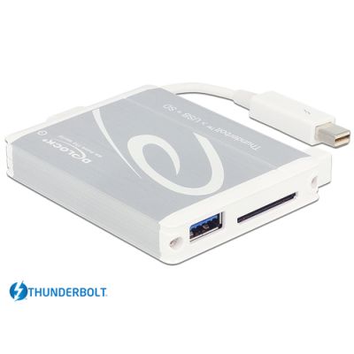 DeLOCK 91723 Kartenleser Thunderbolt 2/USB 3.2 Gen 1 (3.1 Gen 1) Silber, Weiß