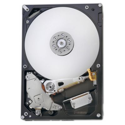 Fujitsu S26462-F3500-L100 Interne Festplatte 3.5" 1 TB Serial ATA III