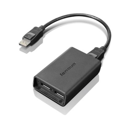 Lenovo DisplayPort to Dual-DisplayPort Monitor Cable USB A Schwarz