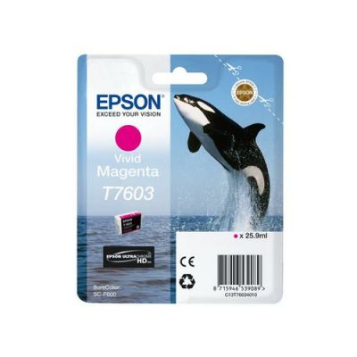 Epson C13T76034N10 Druckerpatrone 1 Stück(e) Original Lebendiges Magenta