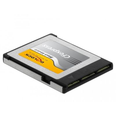 DeLOCK 54066 Speicherkarte 256 GB CFexpress