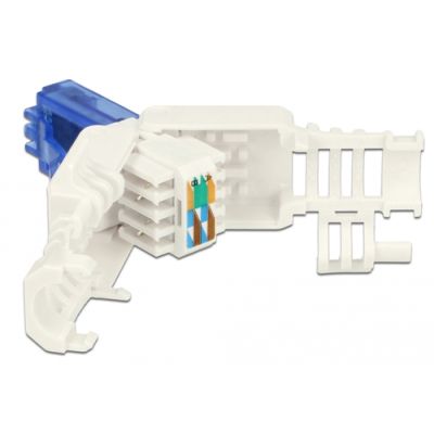 DeLOCK 86417 Drahtverbinder RJ-45 Blau, Weiß