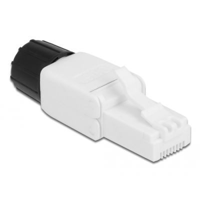 DeLOCK 86977 Drahtverbinder RJ-45 Weiß