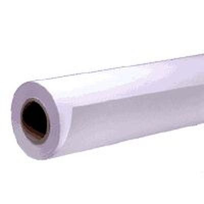 Epson Premium Semigloss Photo Paper Roll, 16 Zoll x 30,5 m, 250 g/m²