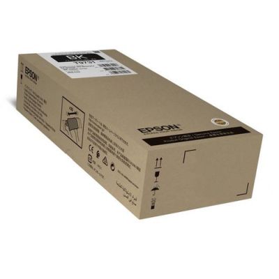 Epson C13T97310N Druckerpatrone 1 Stück(e) Original Schwarz