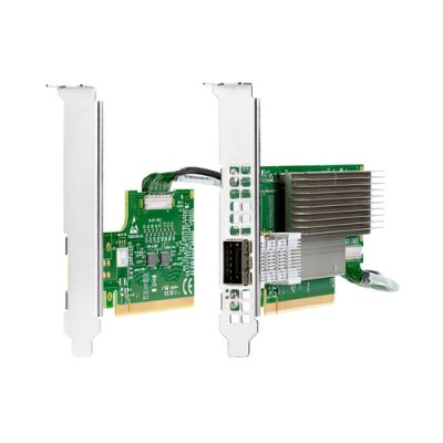 HPE P23664-H21 Eingebaut Ethernet / Fiber 200000 Mbit/s