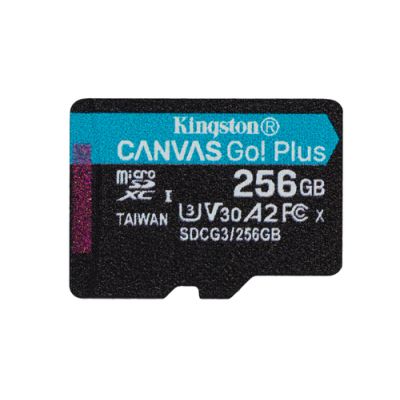 Kingston Technology 256GB microSDXC Canvas Go Plus 170R A2 U3 V30 Einzelpack ohne Adapter