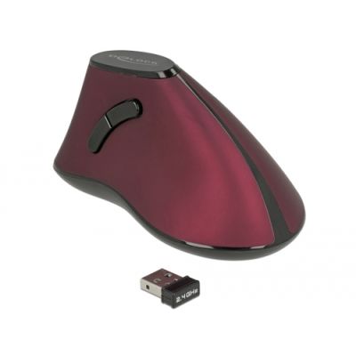 DeLOCK 12528 Maus rechts RF Wireless Optisch 1000 DPI