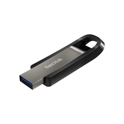 SanDisk Extreme Go USB-Stick 256 GB USB Typ-A 3.2 Gen 1 (3.1 Gen 1) Edelstahl