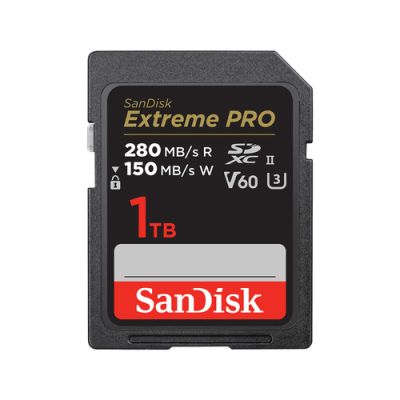 SanDisk SDSDXEP-1T00-GN4IN Speicherkarte 1 TB SDXC UHS-II Klasse 10