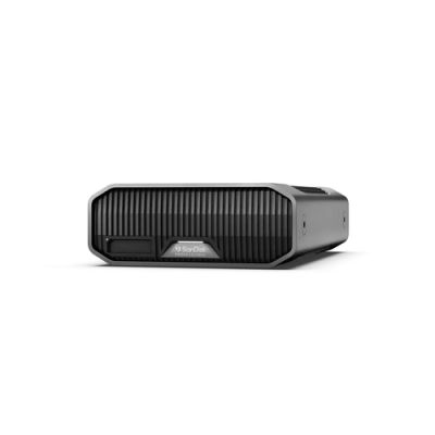 SanDisk G-DRIVE PROJECT Externe Festplatte 12 TB Grau
