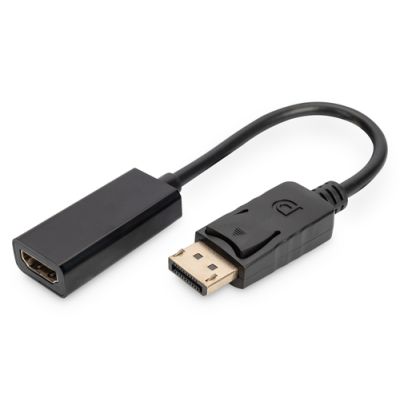 Digitus DisplayPort Adapter / Konverter