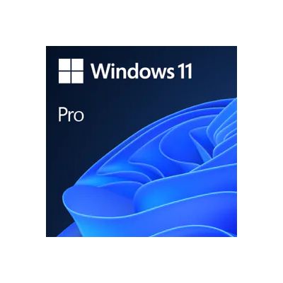 Microsoft Windows 11 Pro 1 Lizenz(en)