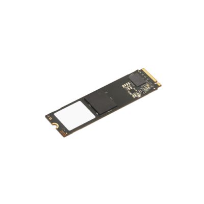 Lenovo 4XB1L68660 Internes Solid State Drive M.2 256 GB PCI Express 4.0 NVMe