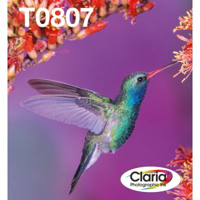 Epson Hummingbird 6-Farb-Multipack T0807 Claria Photographic Ink EasyMail