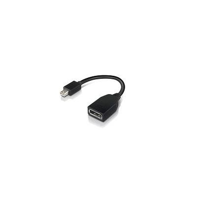 Lenovo 4X90L13971 DisplayPort-Kabel Mini DisplayPort Schwarz