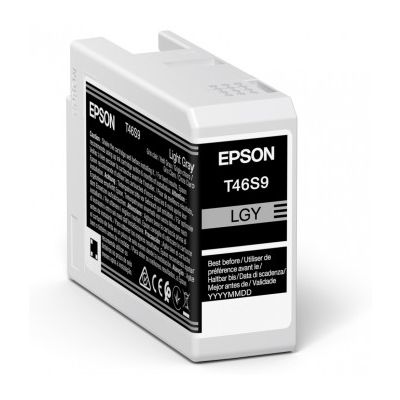 Epson UltraChrome Pro Druckerpatrone 1 Stück(e) Original Hellgrau
