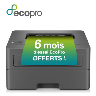 Brother HL-L2400DWE Laser-Drucker 1200 x 1200 DPI A4 WLAN