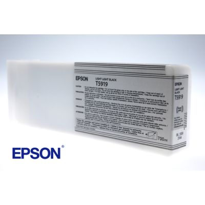 Epson Singlepack Light Light Black T591900