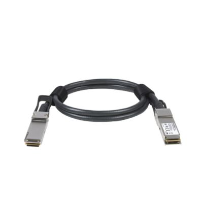 NETGEAR ACC761-10000S Glasfaserkabel 1 m QSFP28 Schwarz