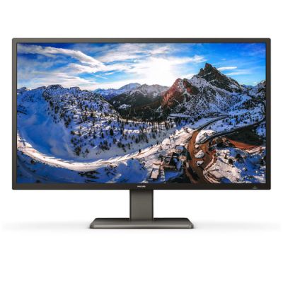 Philips P Line 439P1/00 LED display 108 cm (42.5") 3840 x 2160 Pixel 4K Ultra HD Schwarz