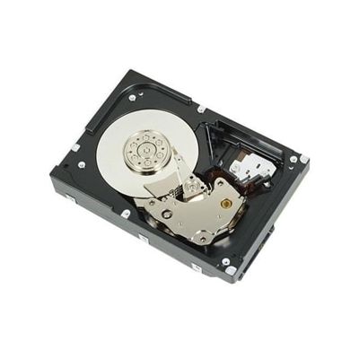 DELL 400-AUPW Interne Festplatte 3.5" 1 TB Serial ATA III