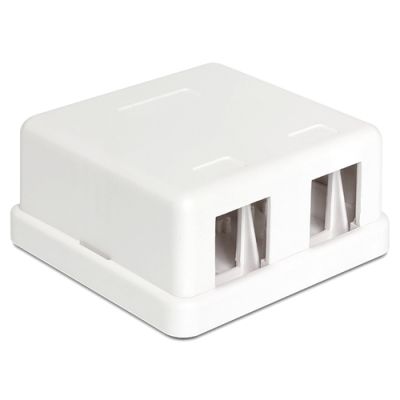 DeLOCK 86207 Drahtverbinder 2x Keystone Weiß