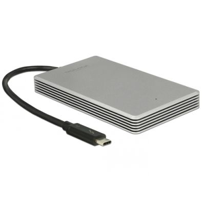 DeLOCK 54060 Externes Solid State Drive 120 GB Silber
