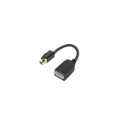 Lenovo 4X90Q93975 Videokabel-Adapter Mini DisplayPort DisplayPort Schwarz