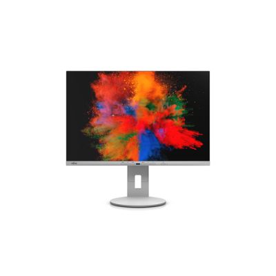 Fujitsu Displays B2410 WE Computerbildschirm 61,2 cm (24.1") 1920 x 1200 Pixel WUXGA LED Grau