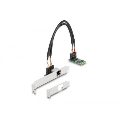 DeLOCK 95272 Netzwerkkarte Eingebaut Ethernet 2500 Mbit/s