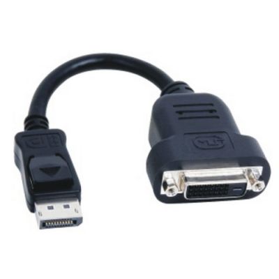 Fujitsu S26361-F4066-L13 Videokabel-Adapter DisplayPort DVI-D Schwarz