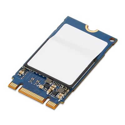 Lenovo 4XB1B85887 Internes Solid State Drive M.2 1 TB PCI Express 3.0 NVMe