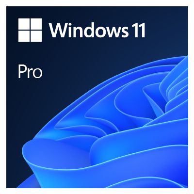 Microsoft Windows 11 Pro OEM