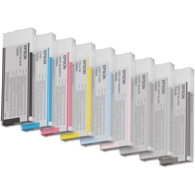 Epson Singlepack Light Black T606700, 220 ml