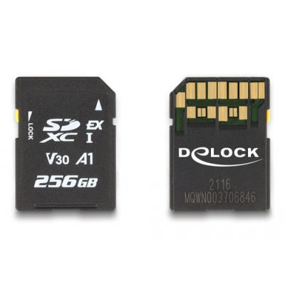 DeLOCK 54091 Speicherkarte 256 GB SD UHS-I