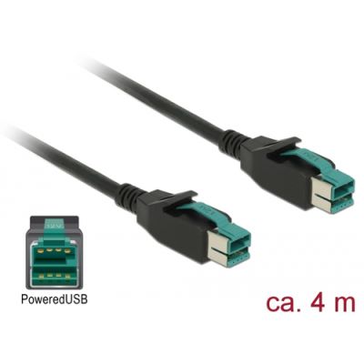 DeLOCK 85495 Stromkabel Schwarz 4 m PoweredUSB