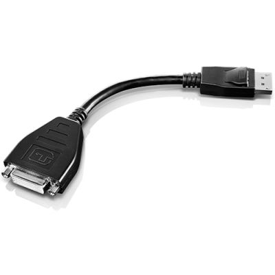 Lenovo 45J7915 Videokabel-Adapter 0,2 m DVI-D DisplayPort Schwarz