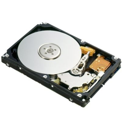 Fujitsu S26361-F3590-L100 Interne Festplatte 3.5" 2 TB Serial ATA II