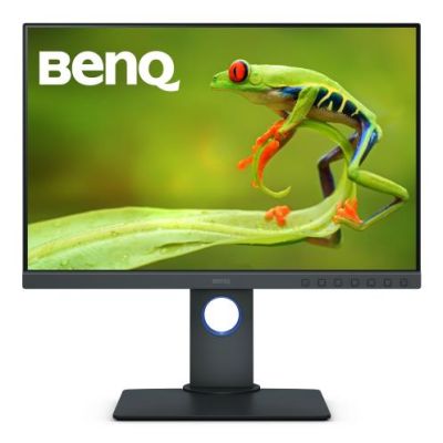 BenQ SW240 Computerbildschirm 61,2 cm (24.1") 1920 x 1080 Pixel Full HD LED Grau